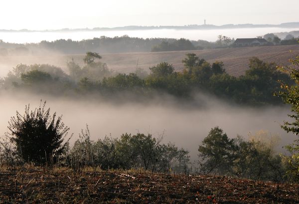 AFAOC-paysages dans la brume
